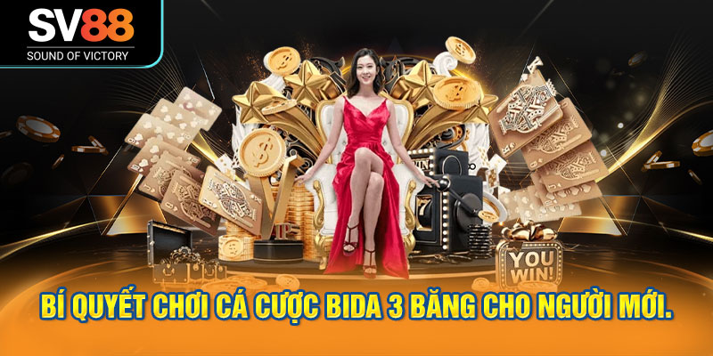 Cá cược bida 3 băng trên SV88 mới lạ và hấp dẫn 2 Bí quyết chơi cá cược bida 3 băng cho người mới.