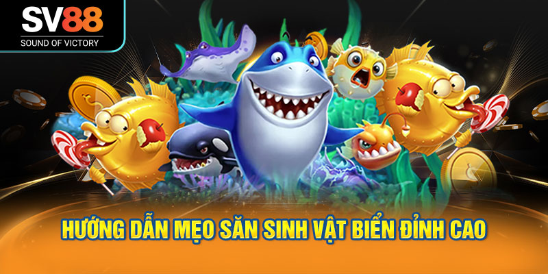 Bắn cá SV88 cung cấp một thư viện trò chơi bắn cá phong phú 3 Chiến lược bắn cá SV88 hiệu quả như cao thủ