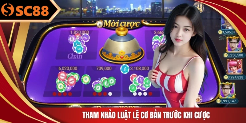 Tham khảo luật lệ cơ bản trước khi cược