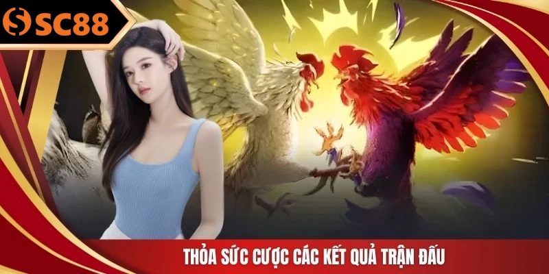 Thỏa sức cược các kết quả trận đấu