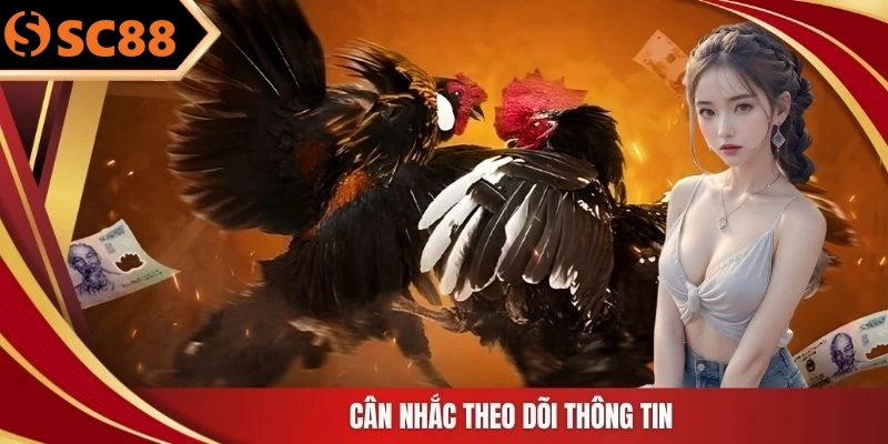 Cân nhắc theo dõi thông tin