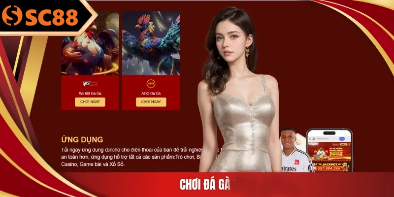 Chơi đá gà trên SC88