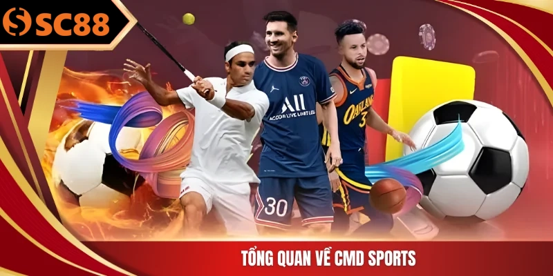 Tổng quan về CMD Sports
