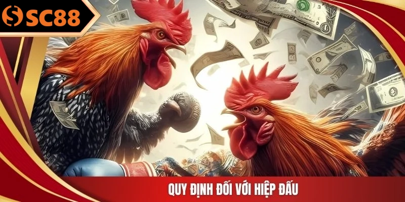 Quy định đối với hiệp đấu