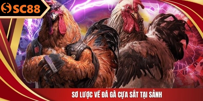 Sơ lược về đá gà cựa sắt tại sảnh
