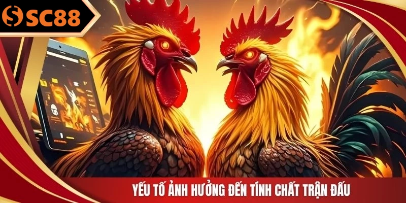 Yếu tố ảnh hưởng đến tính chất trận đấu