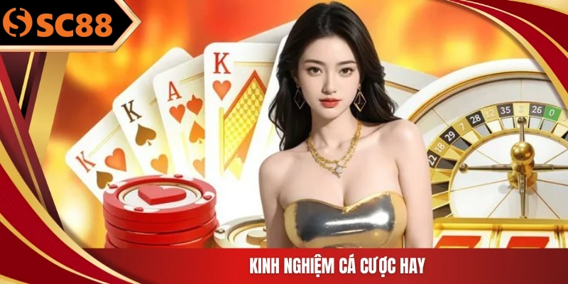 Kinh nghiệm cá cược hay