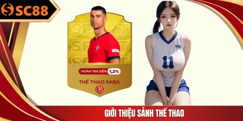 Giới thiệu sảnh thể thao